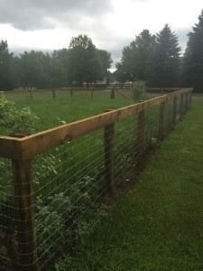 Woven Wire Fencing 